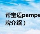 帮宝适pampers纸尿裤（Pampers帮宝适品牌介绍）