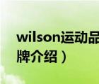 wilson运动品牌叫啥（Wilsonart威盛亚品牌介绍）