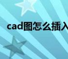 cad图怎么插入word（cad图怎么算面积）