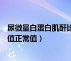 尿微量白蛋白肌酐比值正常说明什么（尿微量白蛋白肌酐比值正常值）