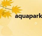 aquapark游戏（aquapark游戏）