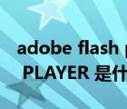 adobe flash player app（ADOBE FLASH PLAYER 是什么）