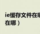 ie缓存文件在哪个文件夹win10（ie缓存文件在哪）