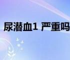 尿潜血1 严重吗怎么回事（尿潜血1 严重吗）