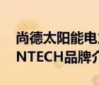 尚德太阳能电力有限公司官网（尚德电力SUNTECH品牌介绍）