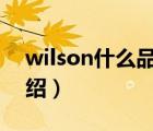 wilson什么品牌（Wilsonart威盛亚品牌介绍）