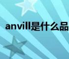 anvill是什么品牌（安威士Anviz品牌介绍）