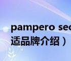 pampero seco是帮宝适吗（Pampers帮宝适品牌介绍）