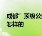 成都”顶级公务机被击穿”原因查明 具体是怎样的