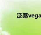 泛泰vegax价格（泛泰vega r3）