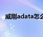 威刚adata怎么样（Adata威刚品牌介绍）