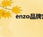 enzo品牌定位（ENZO品牌介绍）