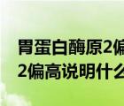 胃蛋白酶原2偏高说明什么问题（胃蛋白酶原2偏高说明什么）