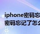 iphone密码忘记了怎么解锁找客服（iphone密码忘记了怎么解锁）