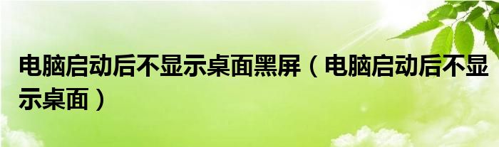 電腦啟動後不顯示桌面黑屏電腦啟動後不顯示桌面