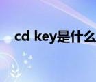 cd key是什么意思（cd key是什么意思）