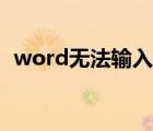 word无法输入页码（word无法输入汉字）