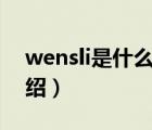 wensli是什么品牌（万事利WENSLI品牌介绍）