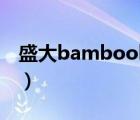 盛大bambook电子书（盛大bambook手机）