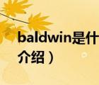 baldwin是什么品牌（Baldwin鲍德温品牌介绍）