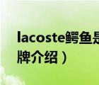 lacoste鳄鱼是什么牌子（LACOSTE鳄鱼品牌介绍）