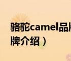 骆驼camel品牌旗舰店男士（骆驼CAMEL品牌介绍）