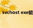 svchost exe能关闭吗（svchost exe专杀）