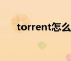 torrent怎么查看（torrent怎么打开）