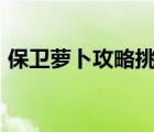 保卫萝卜攻略挑战5（保卫萝卜攻略挑战17）