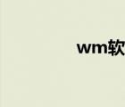 wm软件下载（wm软件）