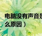 电脑没有声音是什么原因（电脑没有声音是什么原因）