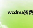 wcdma资费一般多少（wcdma资费）