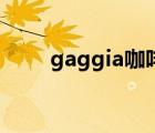 gaggia咖啡机清洗视频（gaggia）