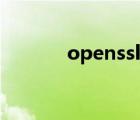 openssl使用详解（openssl）