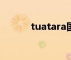 tuatara国内落地价（tuatara）