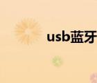 usb蓝牙连接音箱（usb蓝牙）