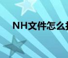 NH文件怎么打开（nh文件用什么打开）