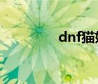 dnf猫妖图片（DNF猫妖）