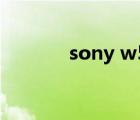 sony w50拆机（sony w50）