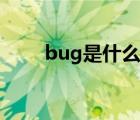 bug是什么意思（bug是什么意思）