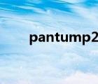 pantump2000（pantum p2000）