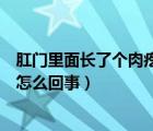 肛门里面长了个肉疙瘩是怎么回事（肛门口长了个肉疙瘩是怎么回事）