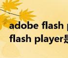 adobe flash player老是提示修复（adobe flash player是什么）