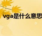 vga是什么意思网络用语（vga是什么意思）