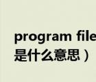 program files是什么文件（program files是什么意思）