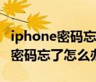 iphone密码忘了怎么解锁保留数据（iphone密码忘了怎么办）