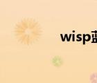 wisp蓝图哪里买（wisp）