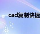 cad复制快捷键说明（cad复制快捷键）