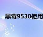 黑莓9530使用技巧大全（黑莓9530论坛）