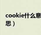 cookie什么意思能不能关闭（cookie什么意思）